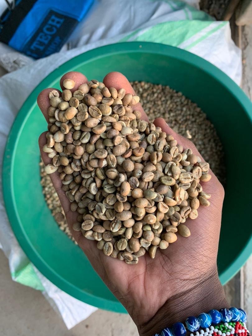 Green Coffee Beans